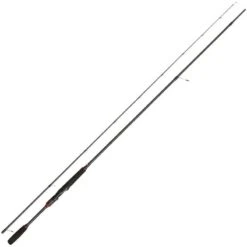 CANNE PENN CONFLICT EGI