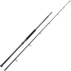 CANNE PENN REGIMENT III UPTIDE